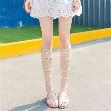 AOA体育登录入口app下载